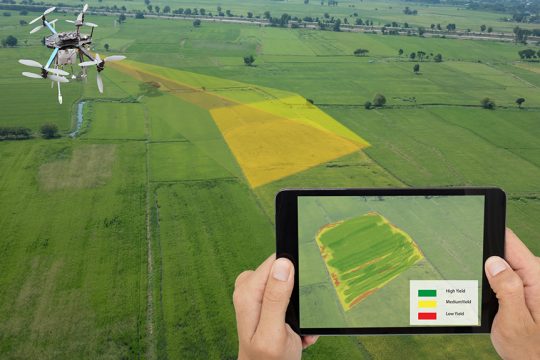 digital farming